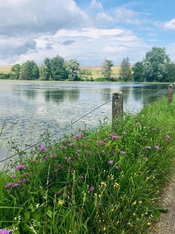 L'Echappee Ardennaise - Gite 6 Places Tout Confort Semuy Eksteriør bilde